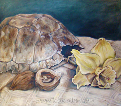 nuts turtle shell daffodil