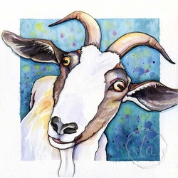 Little Jackie goat in watercolor