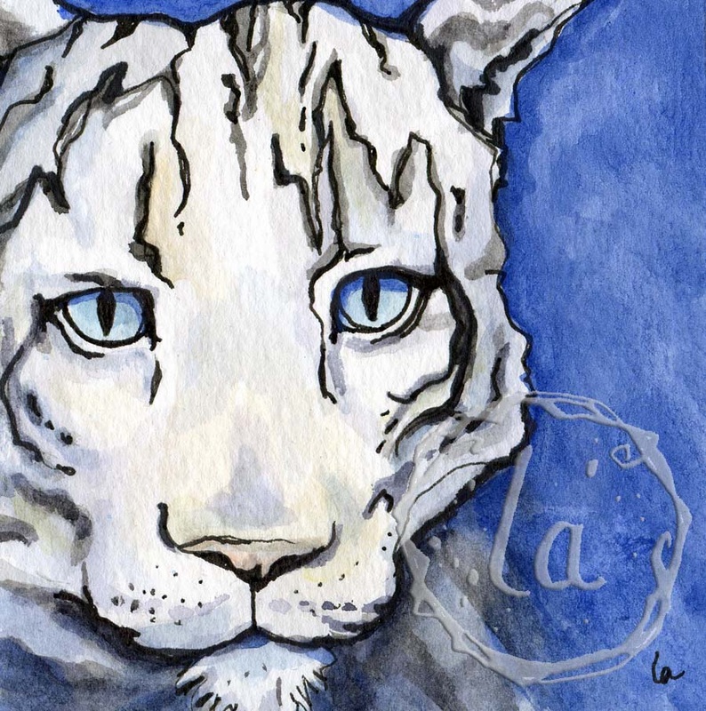 blue eyed white tiger