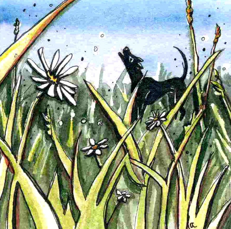 Howl black dog in grass