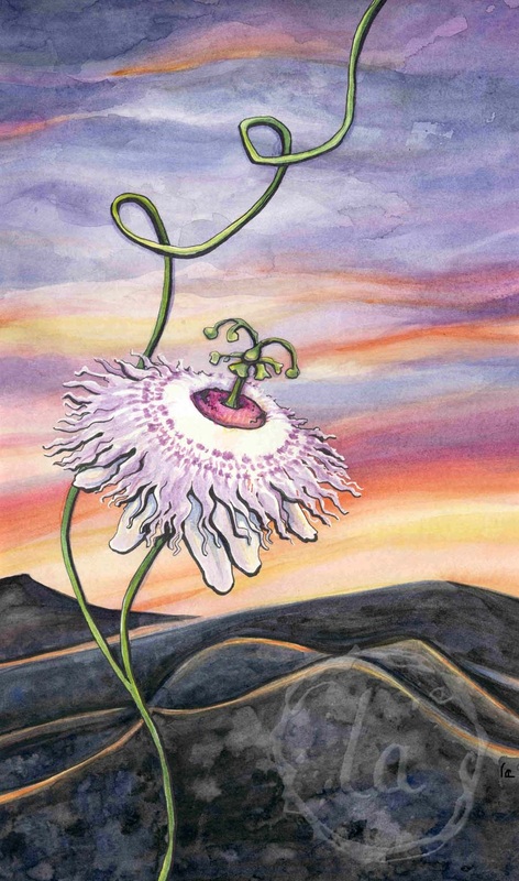 transcendental ascent passion flower at sunset