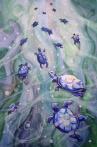 dream of the blue turtles