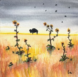 buffalo feild with sunflowers birds grey and yellow