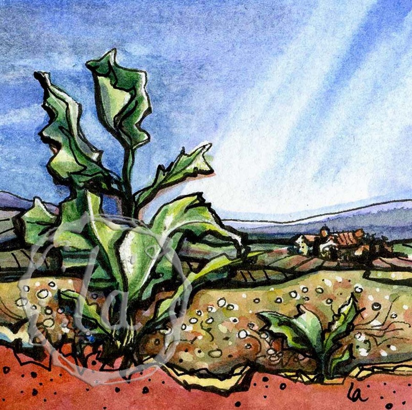 Down Home, a watercolor of a turnip green growing in the country side