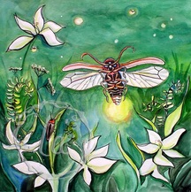 firefly lightening bug