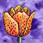 orange tulip tiger lily on purple