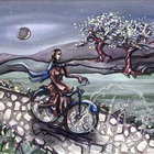 blue bicycle night stone path