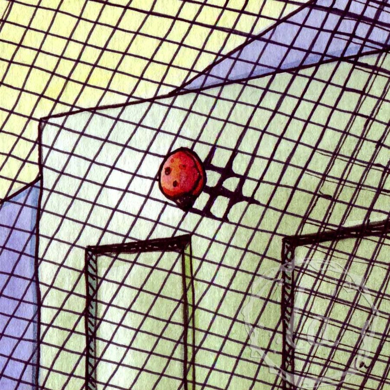 ladybug shadow on a screen door