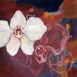 white orchid flower oil