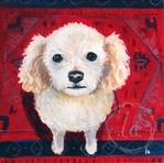 fred poodle dog portrait