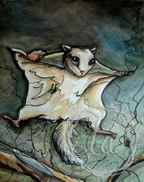 flying squirrel leaping through the night