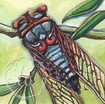 cigalle french cicada