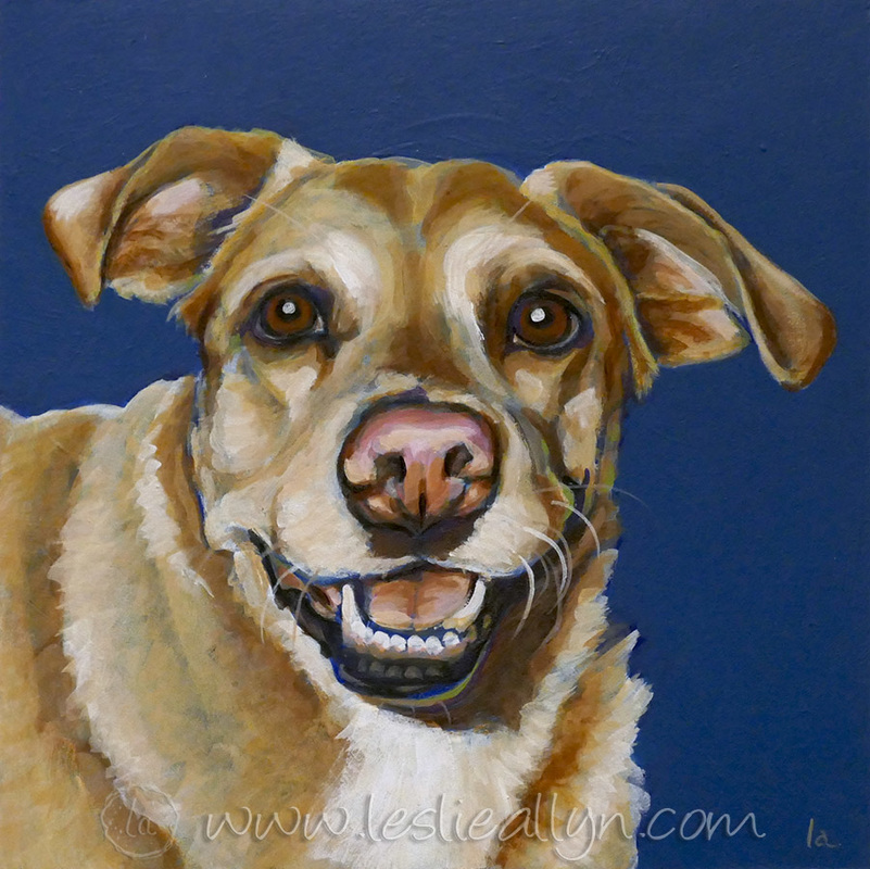 smooshy keisha yellow mutt dog portrait on blue