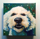gordon labradoodle dog portrait