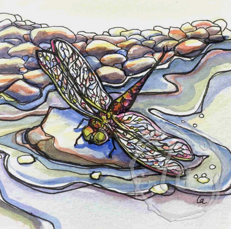 river rock dragonfly landing