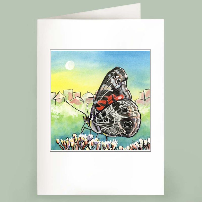 American Lady butterfly notecards