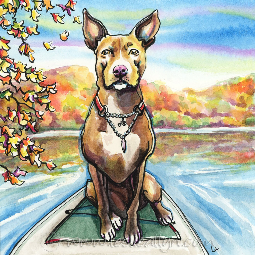 Dixie pitbull dog portrait kayacking