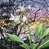 Vista de la Hosta - flowers and sunset trees - Leslie Allyn