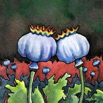 poppy pods painting by Leslie Allyn