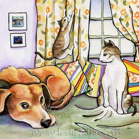 Homies, cats, dog, window, curtains, green