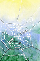 Morning Dew, watercolor of mornin light on a dewy spider web