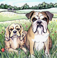 Lily and Milton dogs bulldog landscape portrait