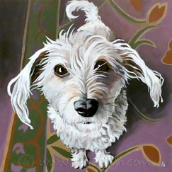 biscuit dog portrait