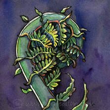 fiddlehead fern watercolor by leslie allyn