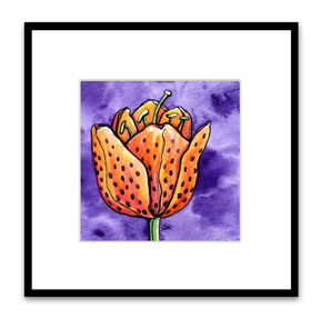 orange tulip tiger lily on purple